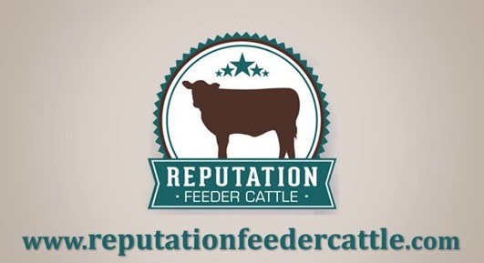 Superior Livestock Auction And Verifid Beef Llc Join Forces Ktic