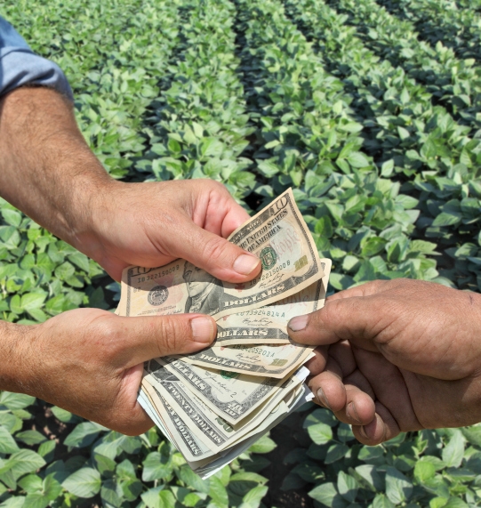 Senators Introduce Bill to Update FSA Loan Limits