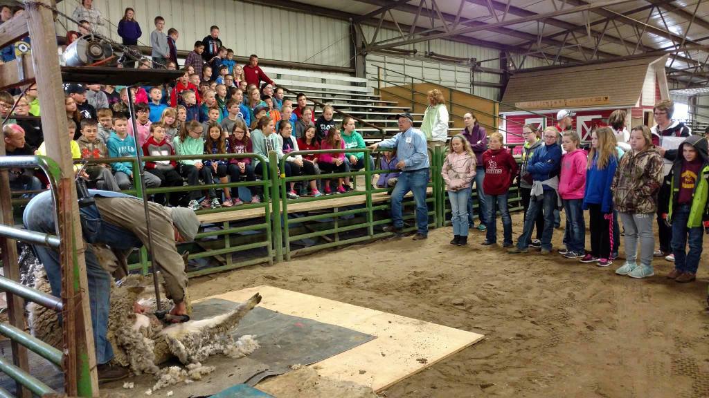 AgFest Kicks Off at Dawson Co. Fairgrounds