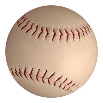 Lexington & Overton Approve Softball Co-Op
