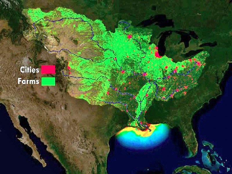 hypoxia in the gulf of mexico and Dead zones occur in many areas of the country, particularly along the east coast, the gulf of mexico, and the great lakes, but there is no part of the country or the world that is immune the second largest dead zone in the world is located in the us, in the northern gulf of mexico. hypoxia in the gulf of mexico and Dead zones occur in many areas of the country, particularly along the east coast, the gulf of mexico, and the great lakes, but there is no part of the country or the world that is immune the second largest dead zone in the world is located in the us, in the northern gulf of mexico.