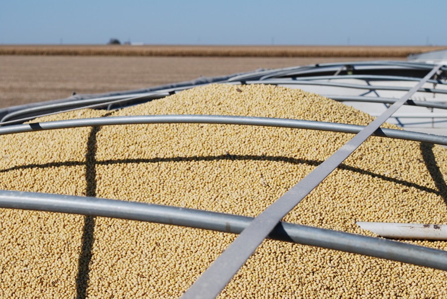 China Commits to Buying More Soybeans