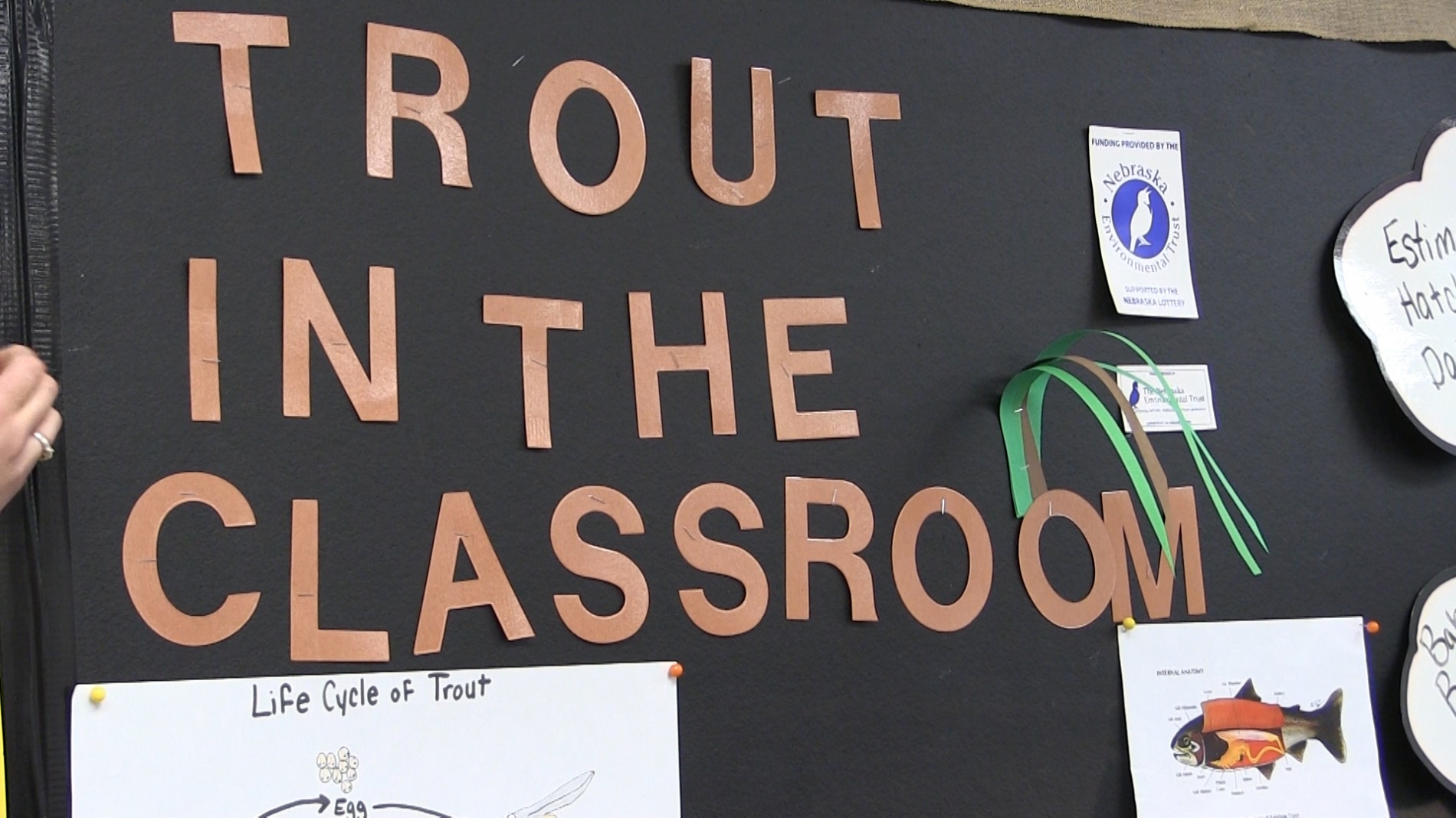 Bayard 5th graders participate in ngpc's trout in the classroom ...
