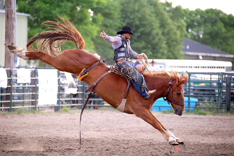 Results from the Plum Creek Rodeo