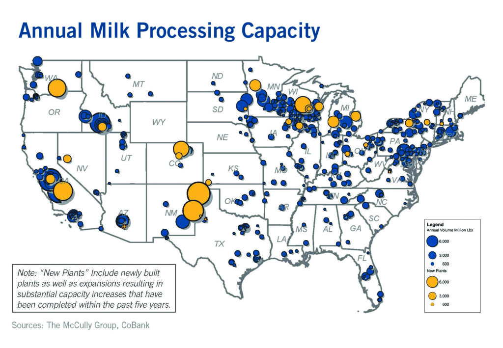 Dairy Processors Stretched by Milk Production Gains