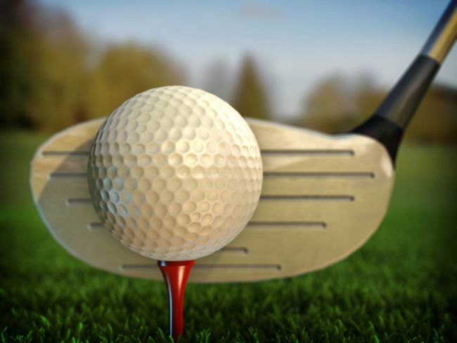 District Golf Results