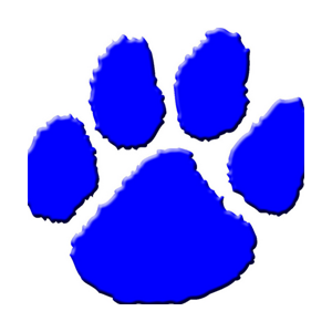 Bearcats Win Class A Title