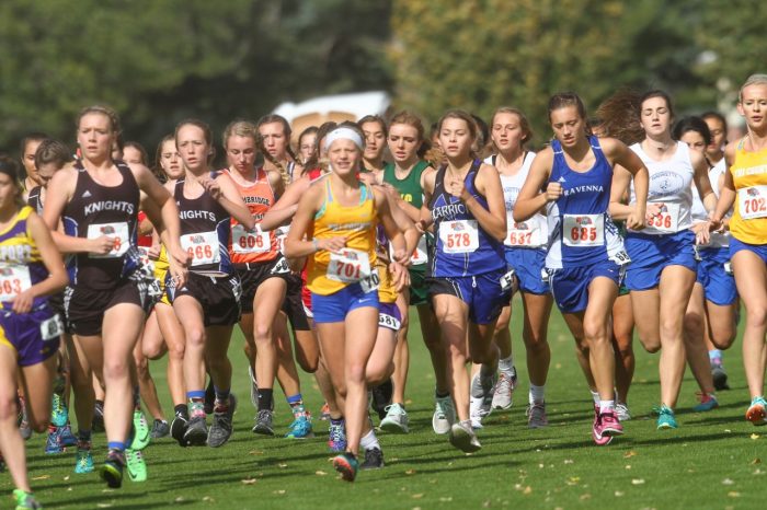 State Cross Country Results