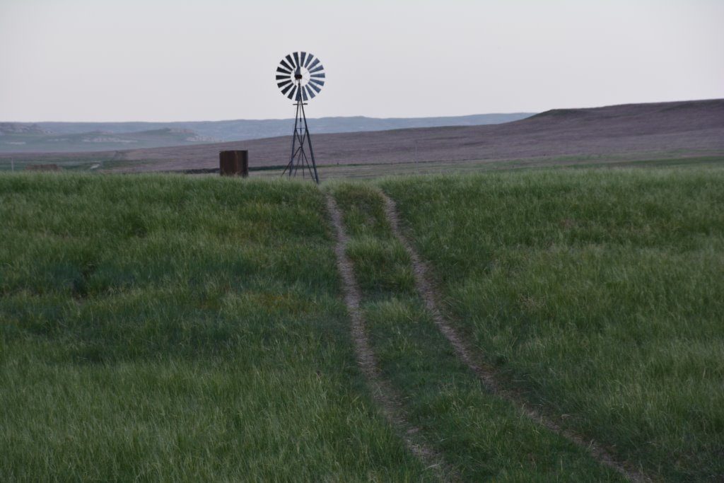A century of science at UNL experimental range in southern Sioux County