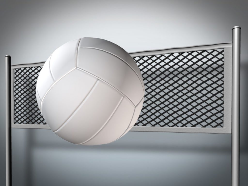 Light Team Wins NE Nebraska All-Star Volleyball Match