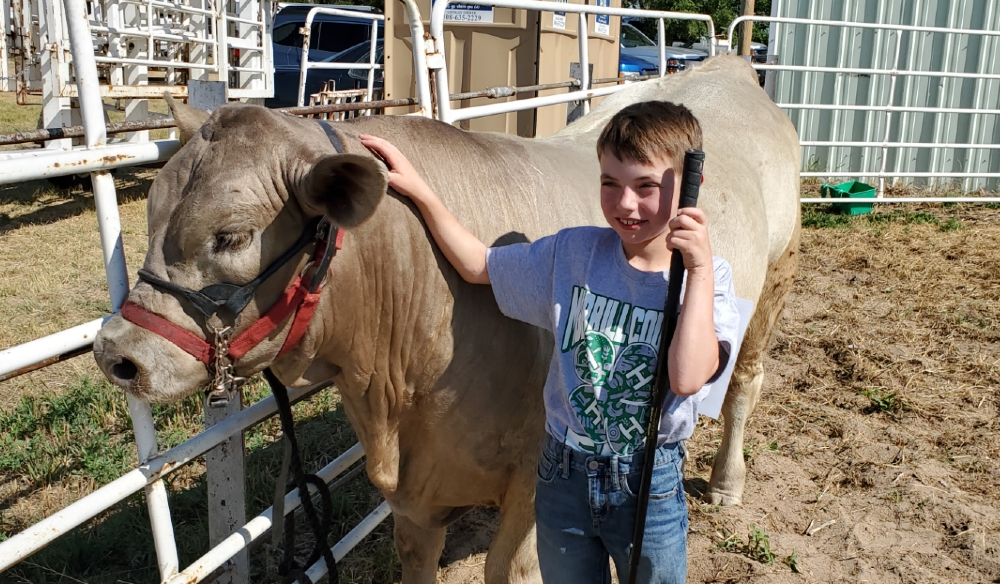 (Audio) Morrill County Fair beef show KNEB