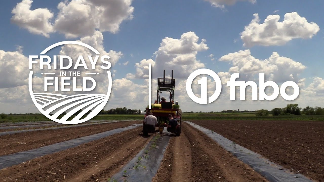 Nebraska produce farm plants watermelons, grows cool season vegetables