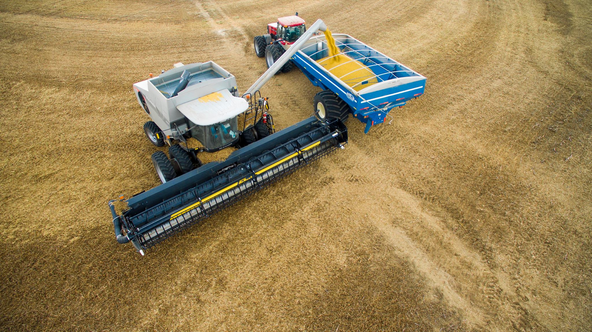 Soybean residue for forage KOOL