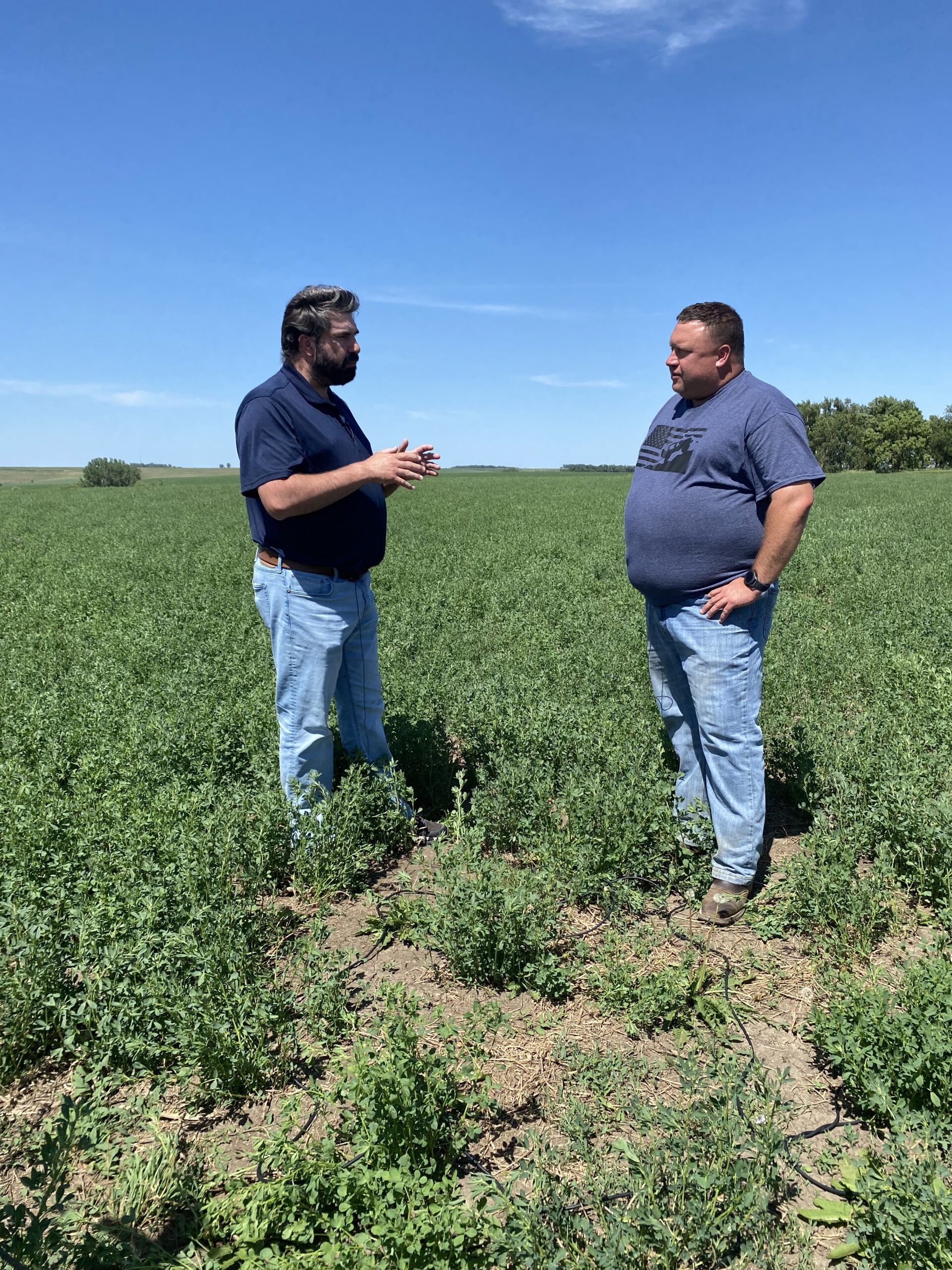 Larson Farms Youtube 60 - n7dcpbi