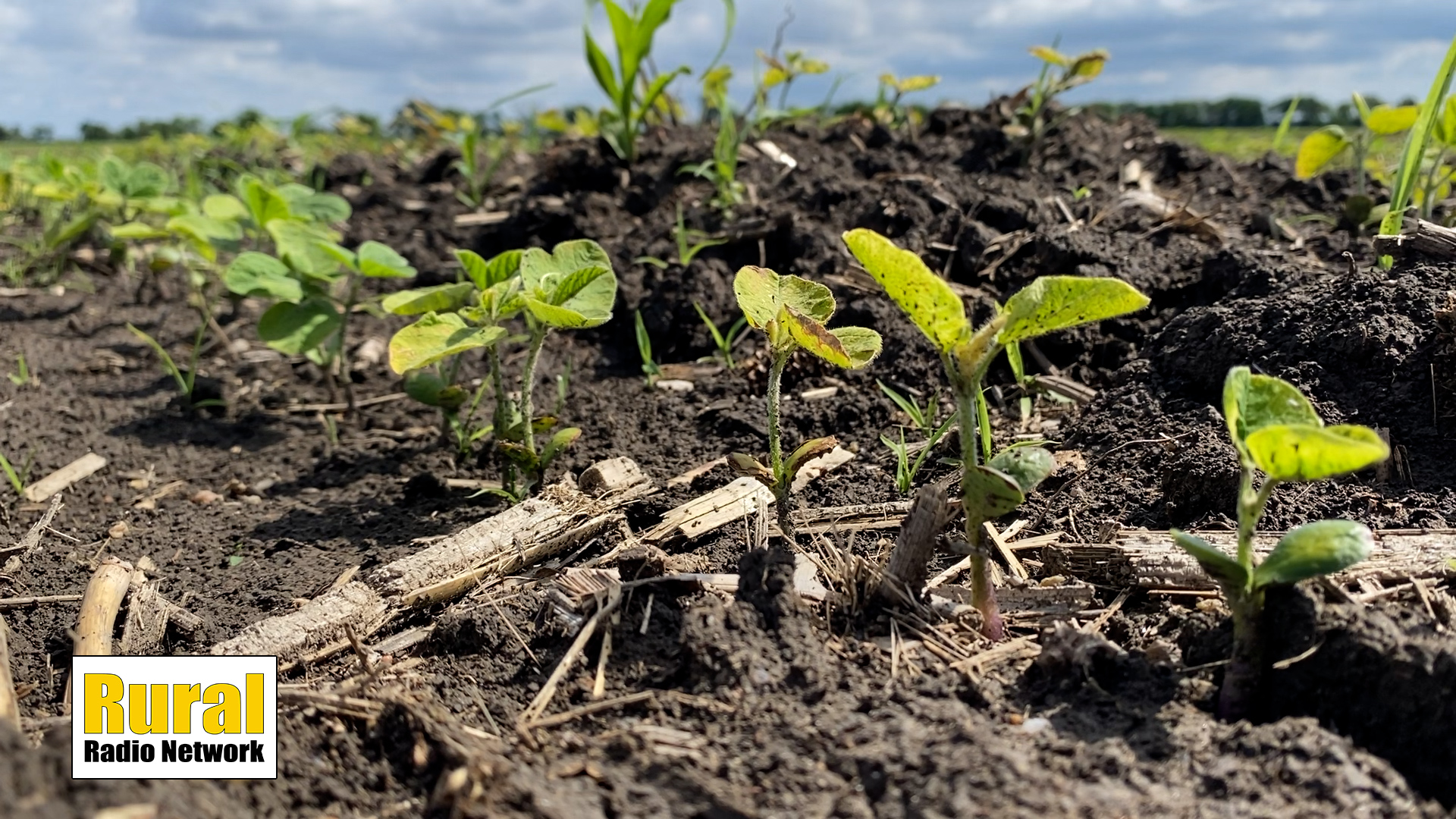 KRVN 880 – KRVN 93.1 – KAMI - Tekamah farmer looks ahead to growing ...