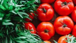COLUMN: Keep Tomatoes Healthy This Growing Season