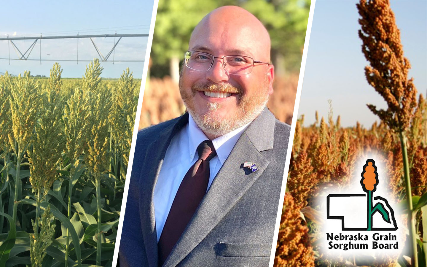 KRVN 880 – KRVN 93.1 – KAMI - Nebraska sorghum acres increase 99% over ...