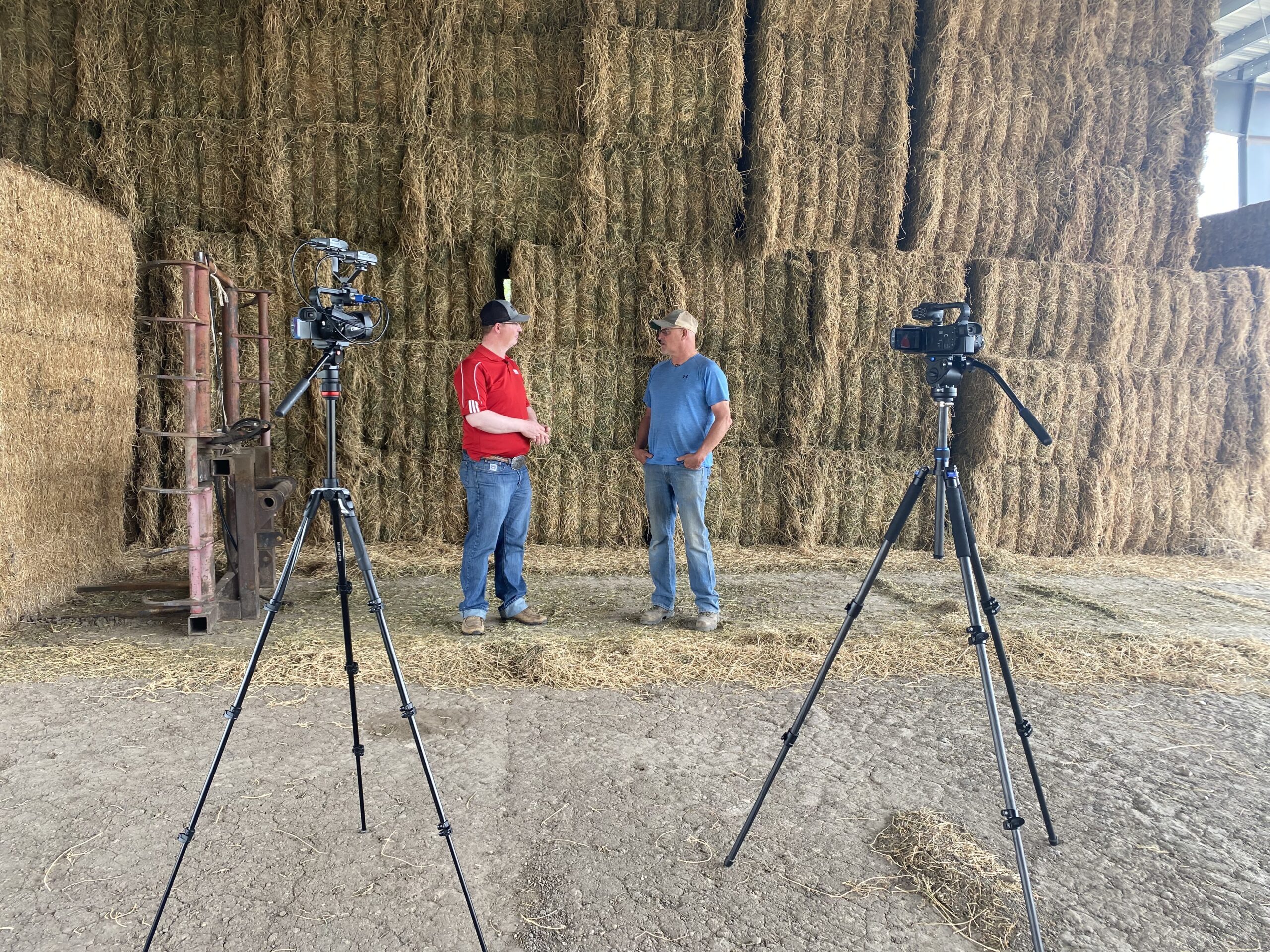 KTIC 840 AM/98.3 FM/98.7 FM - Extreme drought causes tight hay supply ...