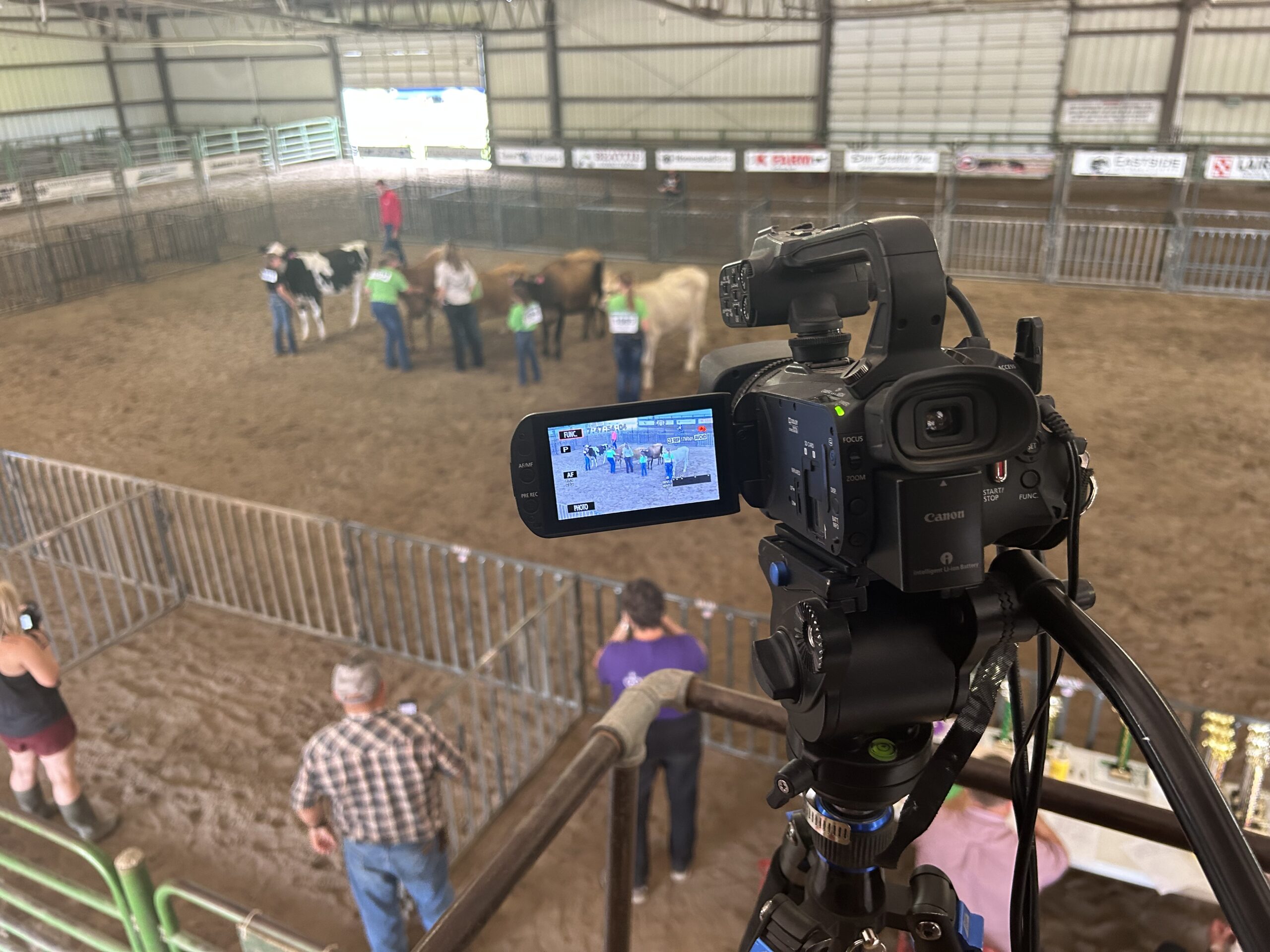 KRVN 880 – KRVN 93.1 – KAMI - WATCH NOW: 2023 Dawson County Feeder Calf ...