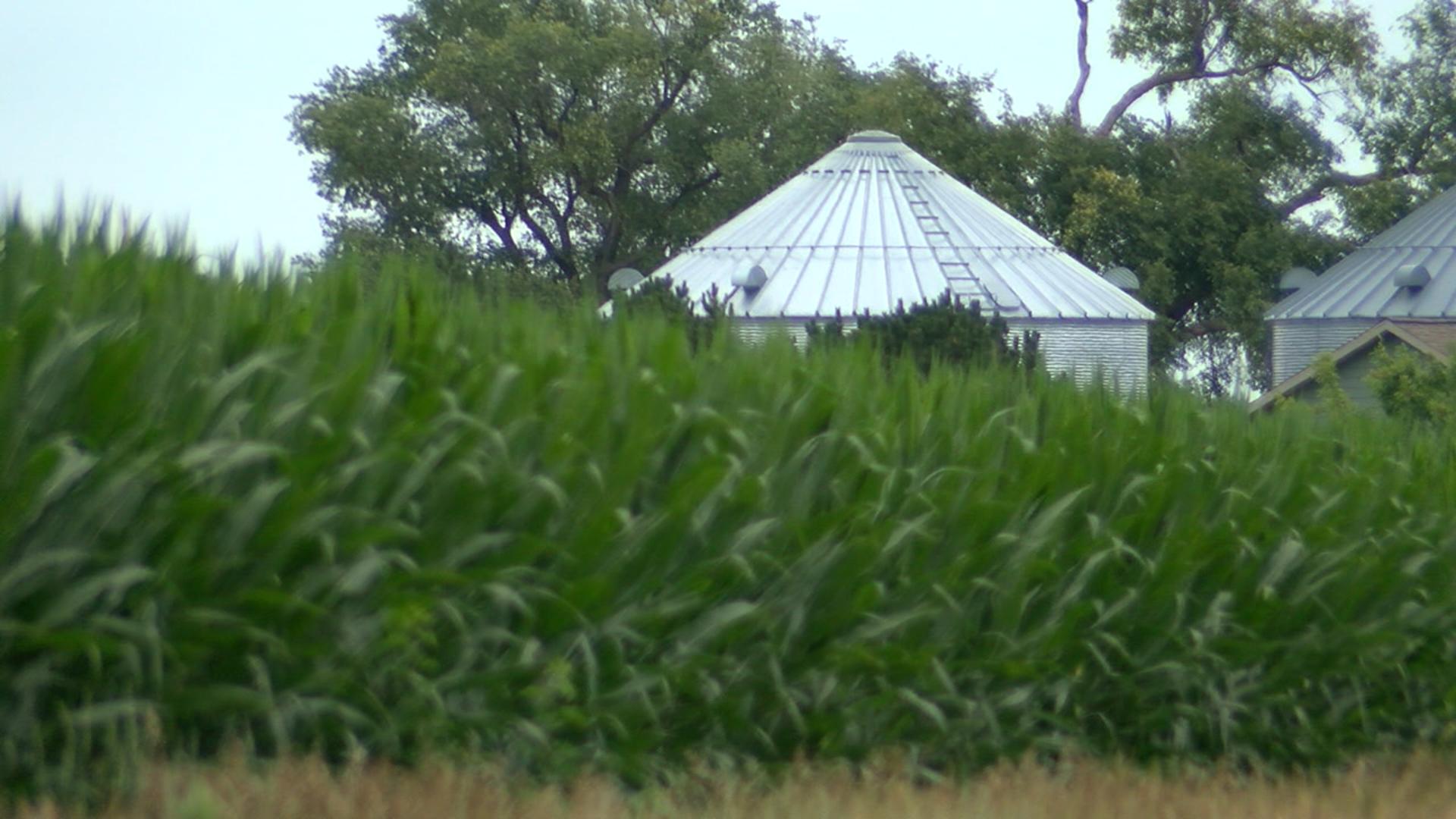 KRVN 880 – KRVN 93.1 – KAMI - Nebraska man dead following grain bin ...