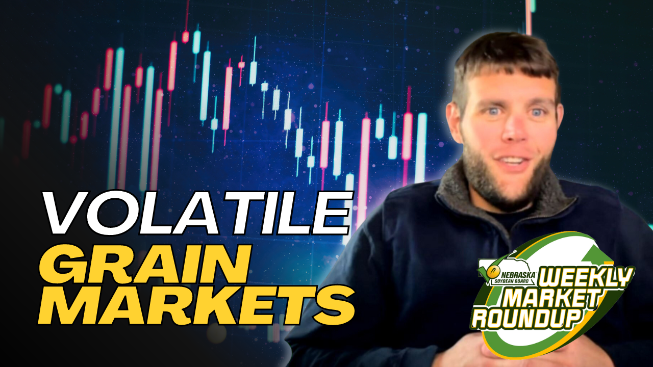 KRVN 880 KRVN 93.1 KAMI Volatile grain markets, cattle complex