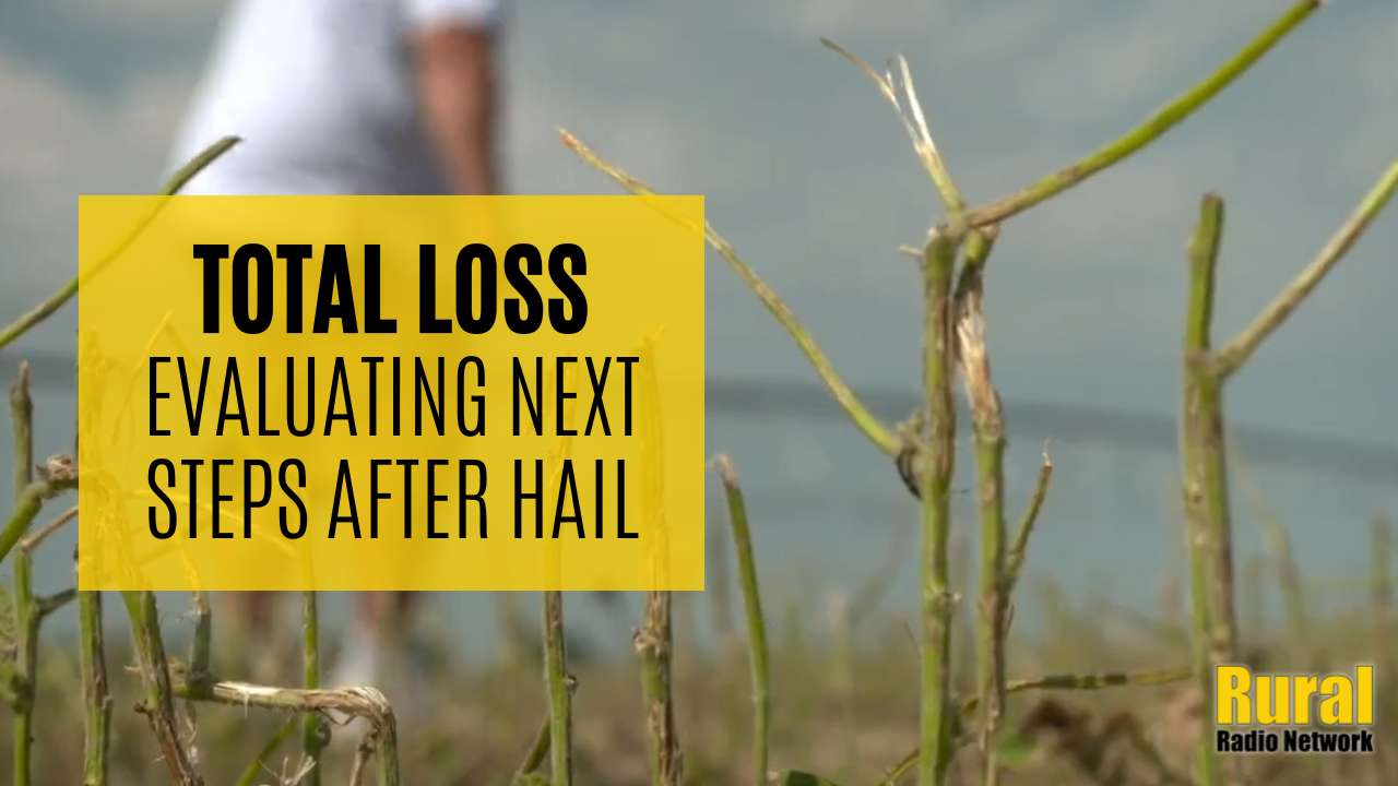 KRVN 880 – KRVN 93.1 – KAMI - Nebraska farmer talks next steps ...
