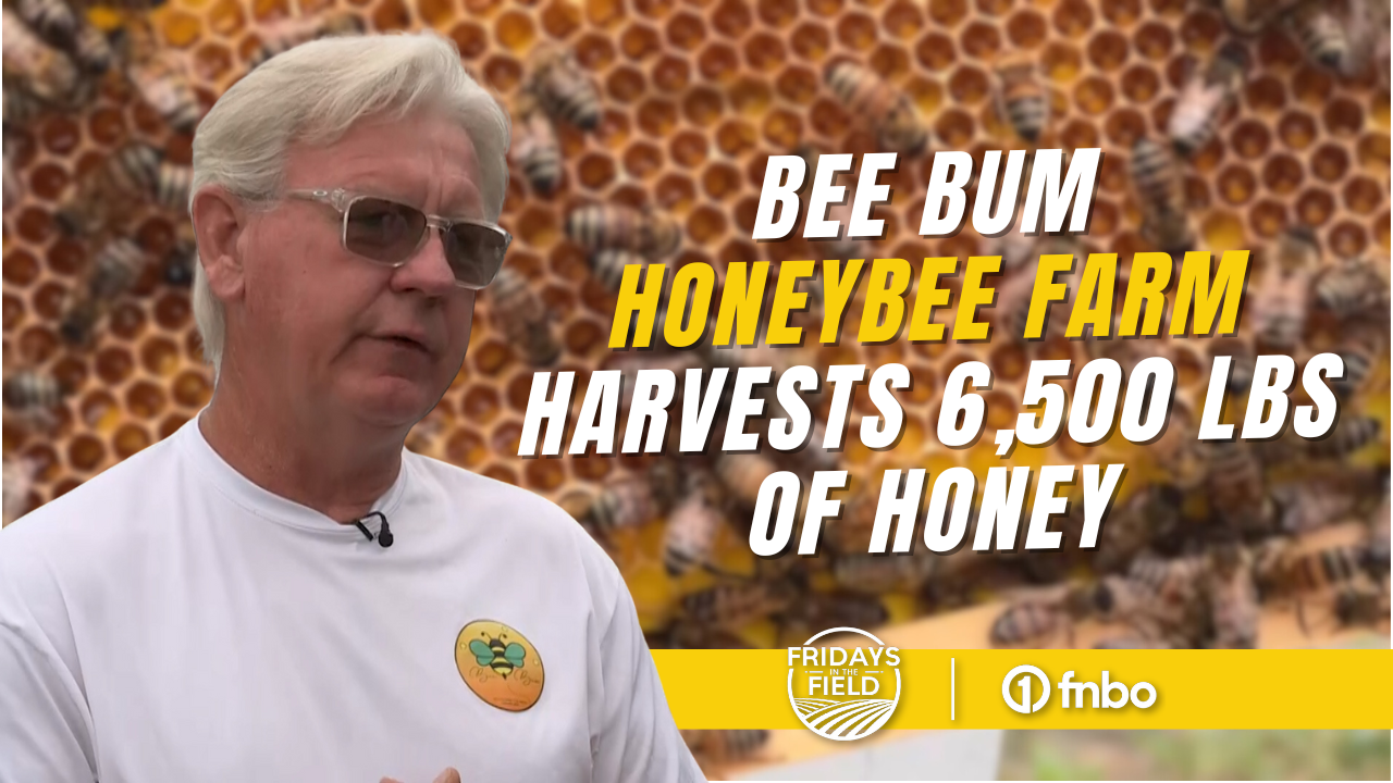 KRVN 880 – KRVN 93.1 – KAMI - Honeybee farm in Nebraska harvests 6,500 ...
