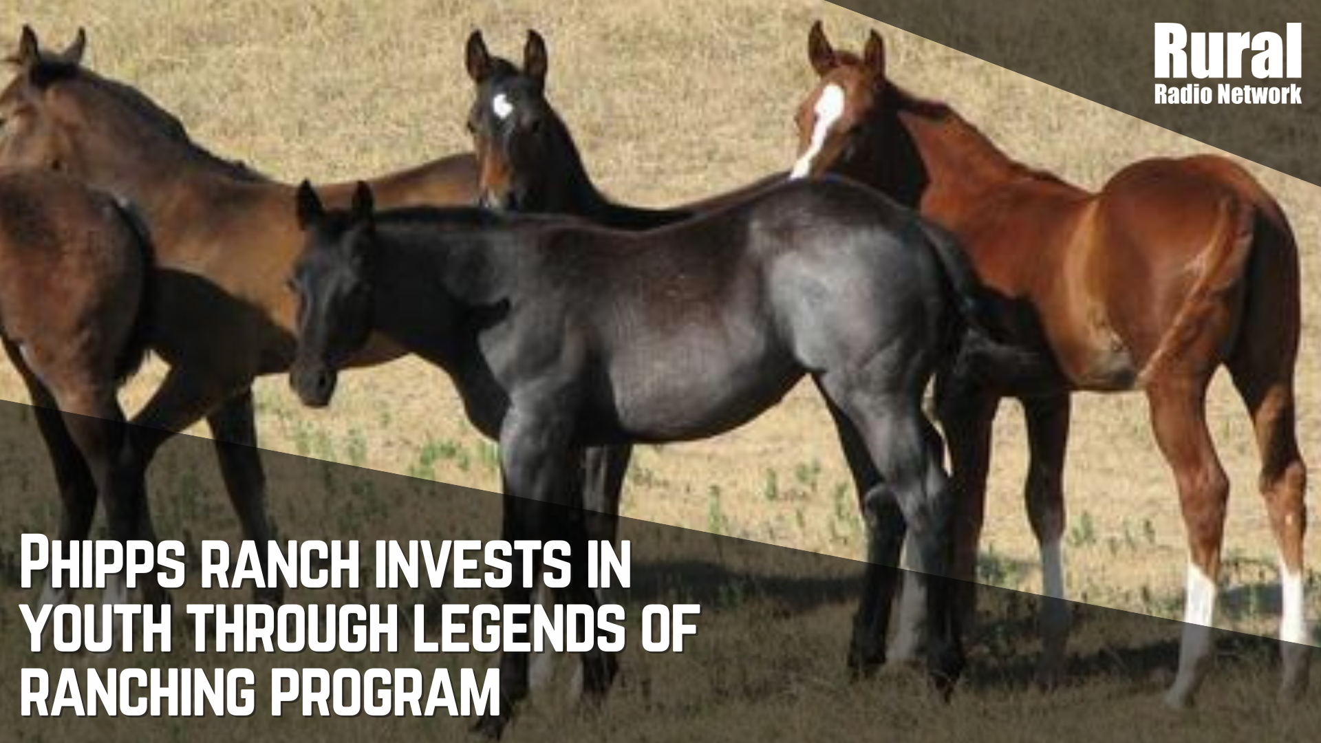 Phipps Ranch invests in youth through Legends of Ranching Program ...