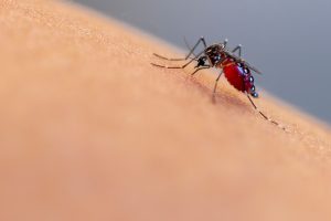 West Nile Virus surfaces in Nebraska