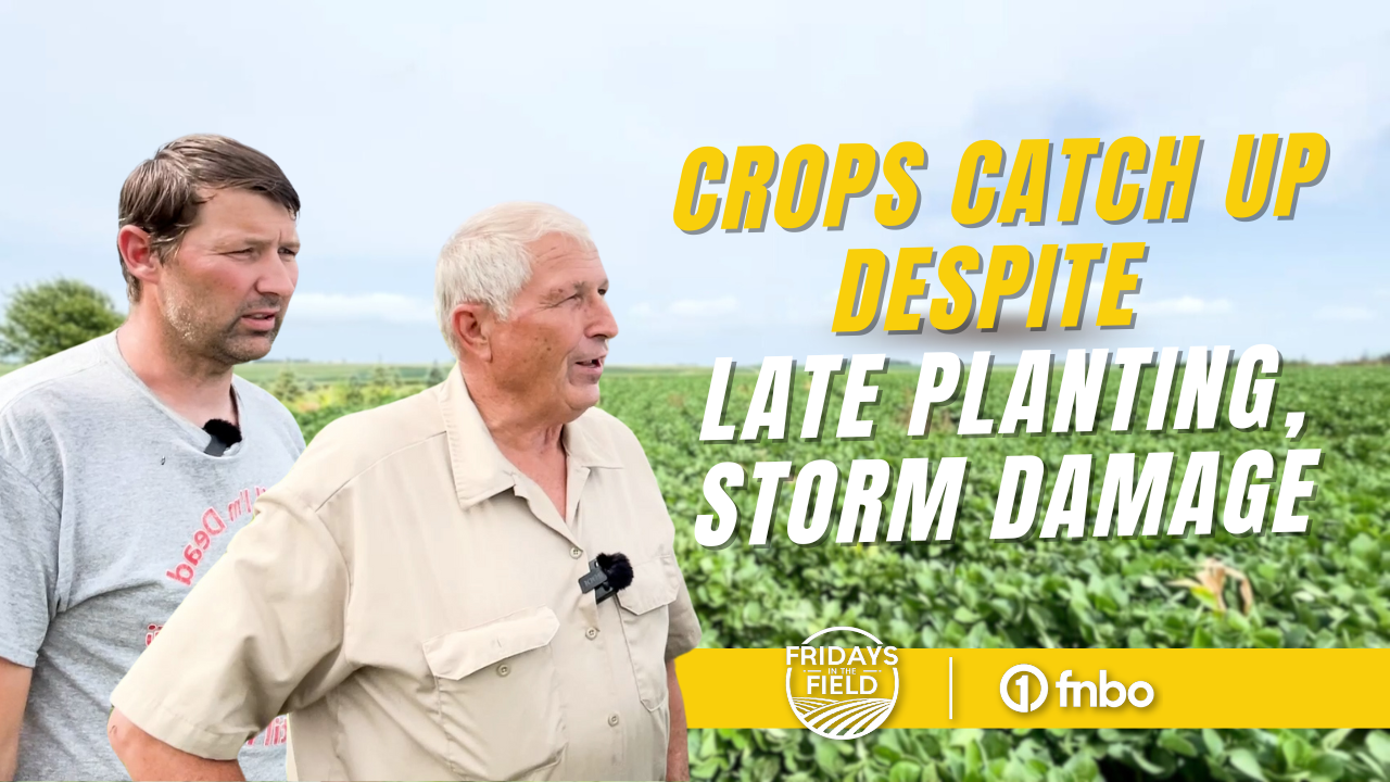 KRVN 880 – KRVN 93.1 – KAMI - Corn, soybeans catch up after storm ...