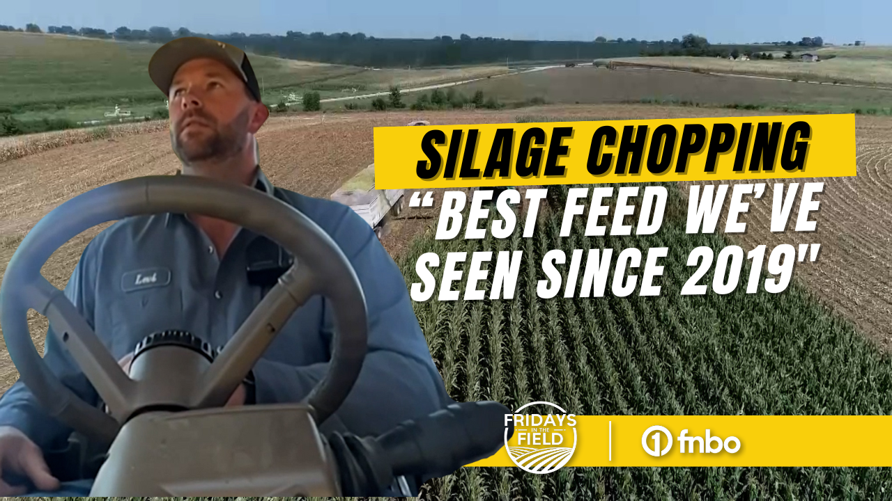 KRVN 880 KRVN 93.1 KAMI Silage chopping “Best feed we’ve seen