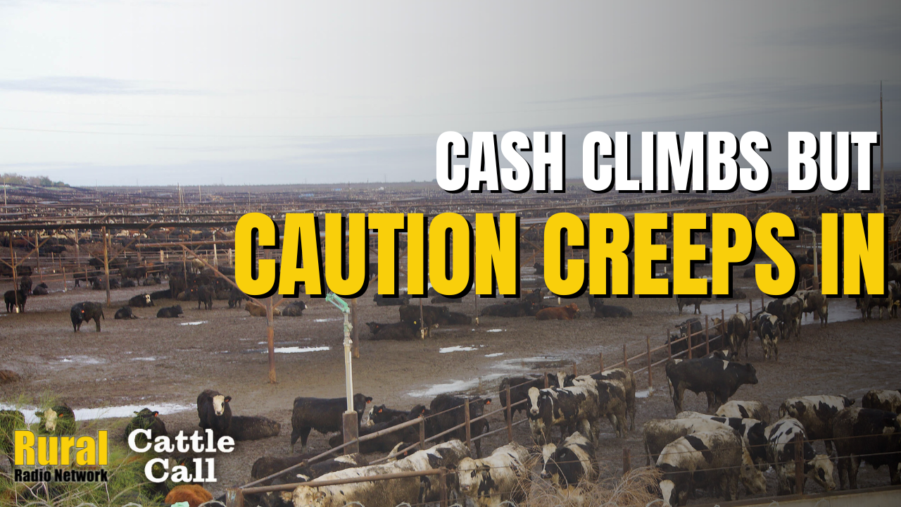 Cattle Call: With supply tight, new Nebraska plant begins harvest in ...