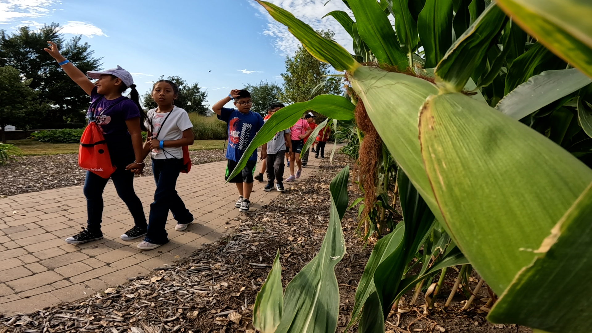 From popcorn to pigs: Nebraska’s Largest Classroom brings farm life to city kids