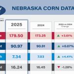 Nebraska crop tour results show higher yields, strong soybean pod counts
