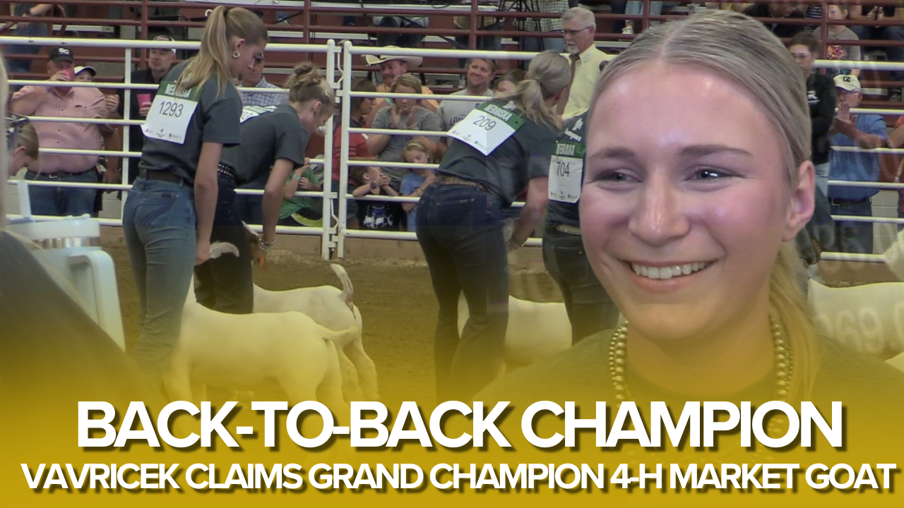 Colfax County’s Vavricek wins back-to-back 4-H market goat championships