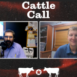 Steady Cash Market Despite High Volatility | Cattle Call