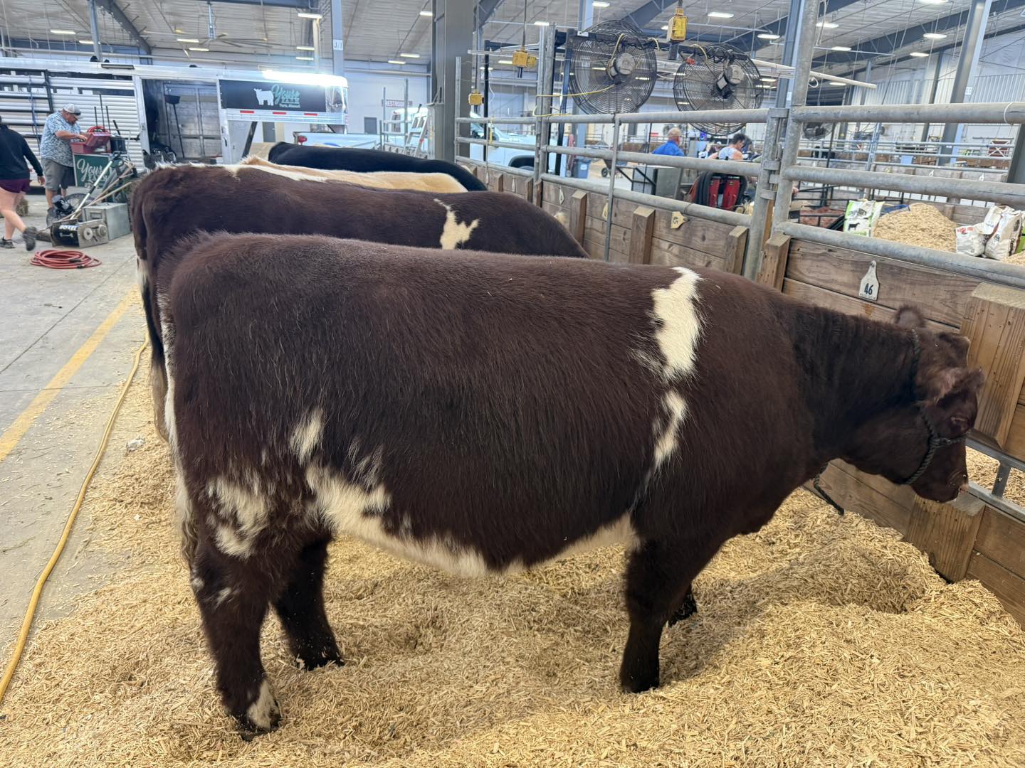 KRVN 880 – KRVN 93.1 – KAMI - Aksarben Stock Show welcomes 1,400 ...