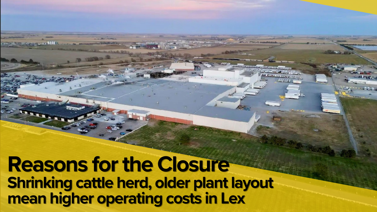 UNL Economist Says Plant Layout, Costs and Cattle Supply Likely Factored Into Tyson Closure