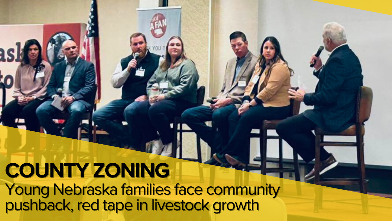 Young Nebraska families face community pushback, red tape in livestock growth