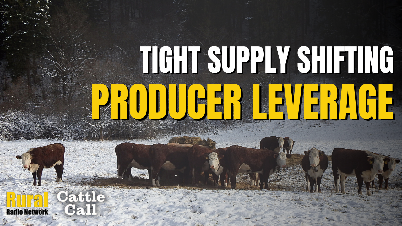 KRVN 880 – KRVN 93.1 – KAMI - Cattle Call: Tight January supply could ...