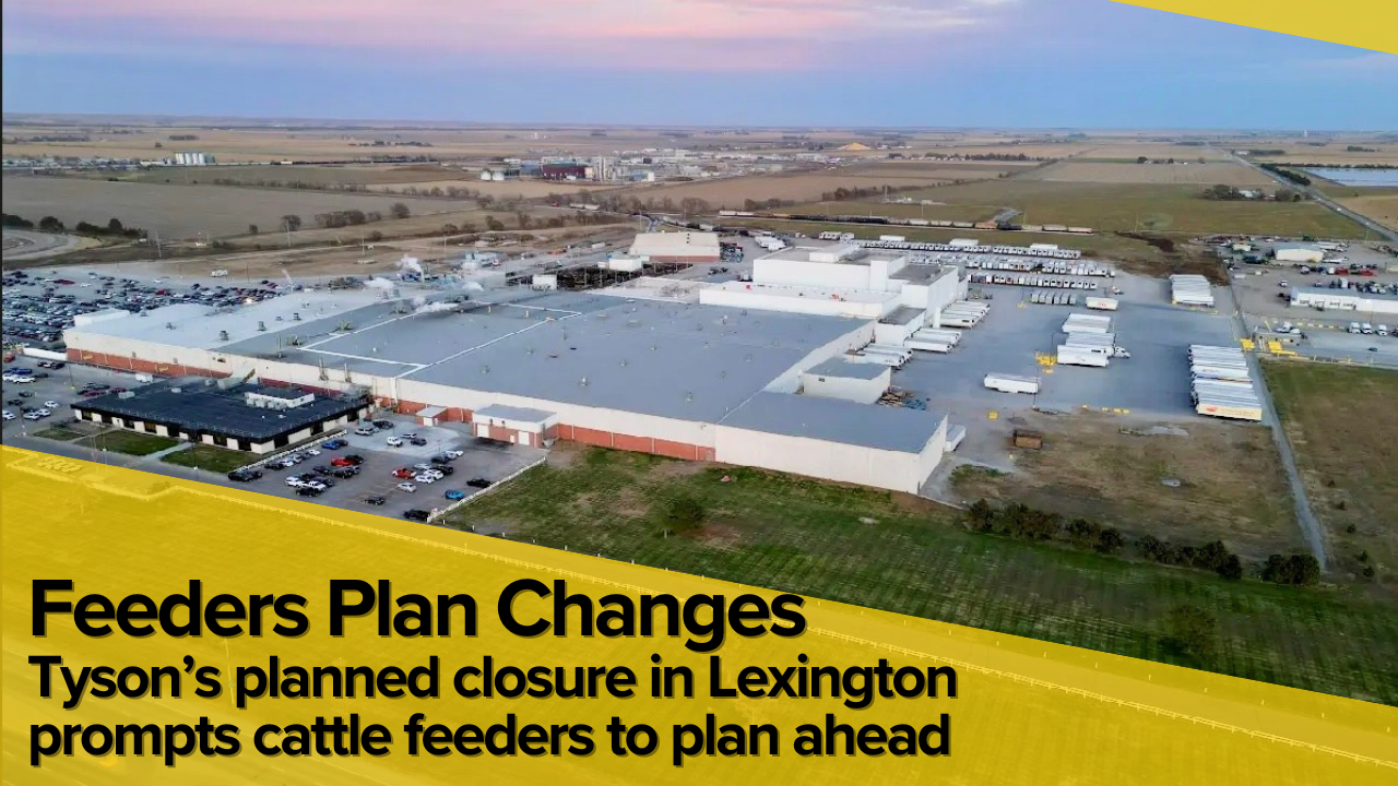 Nebraska cattle feeders prepare for operational changes with closing of Tyson’s Lexington plant