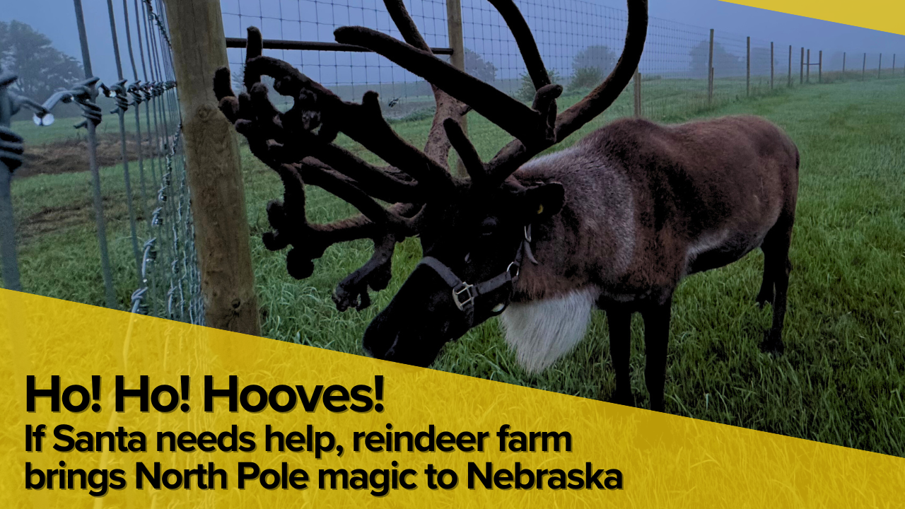 Nebraska reindeer farm proves Christmas magic is real