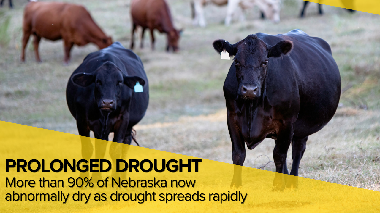 More than 90% of Nebraska now abnormally dry as drought spreads rapidly statewide