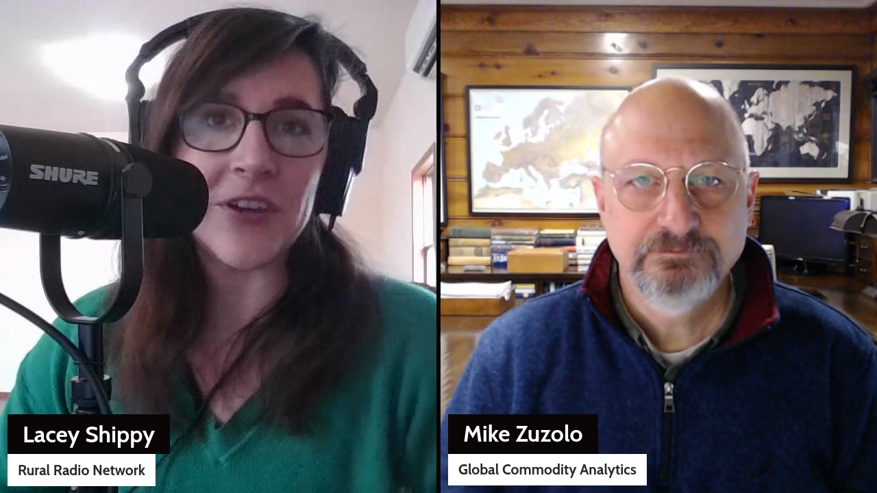 Grain markets rally despite weak soybean exports | Midday Markets