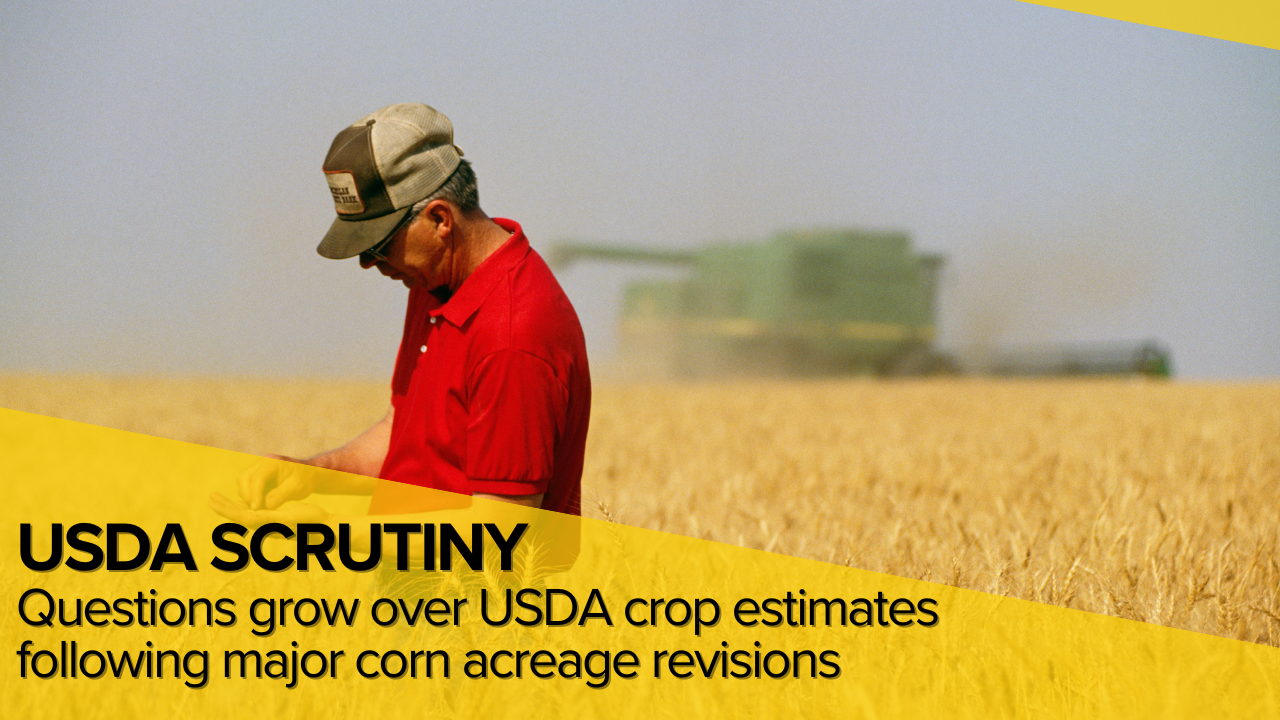 Scrutiny grows over USDA crop estimates following major corn acreage revisions