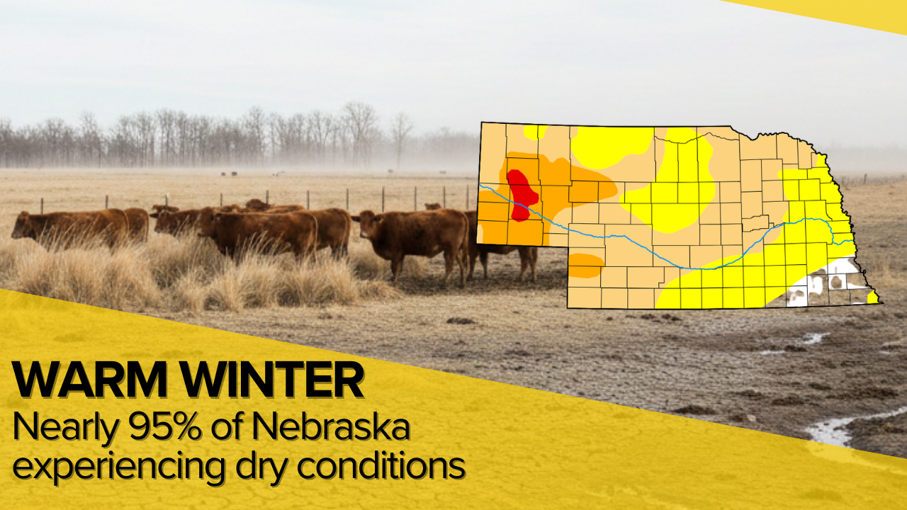 Warm temps fuel drought: Nearly 95% of Nebraska experiencing dry conditions