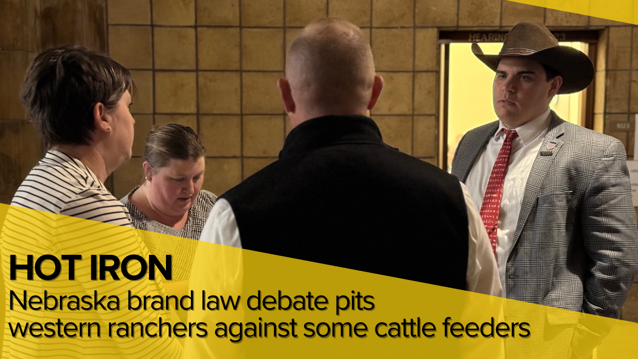 Nebraska Brand Law Debate Pits Western Ranchers Against Some Cattle Feeders