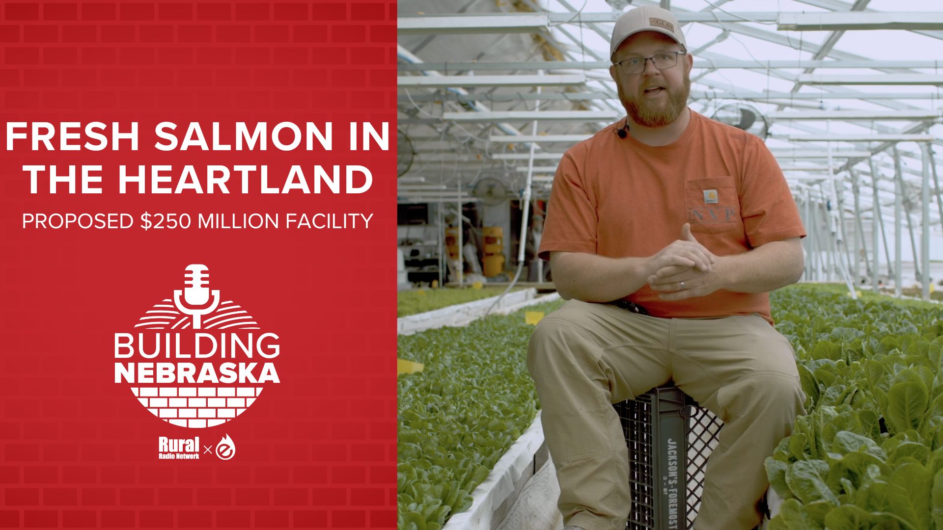 Proposed $250M salmon processing facility could bring new industry to Nebraska City