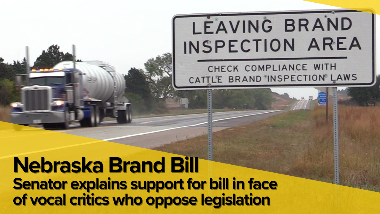 Nebraska brand inspection bill advances unanimously, debate continues among cattle producers