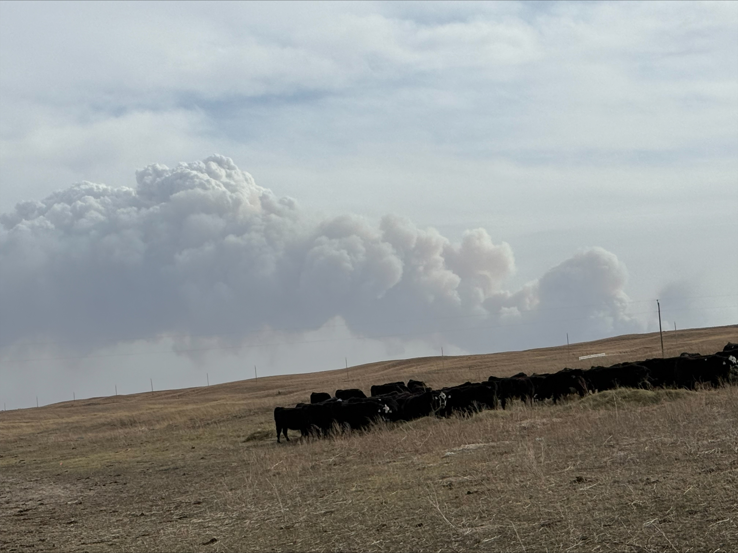 Nebraska FSA reminds producers of wildfire programs and need to document losses